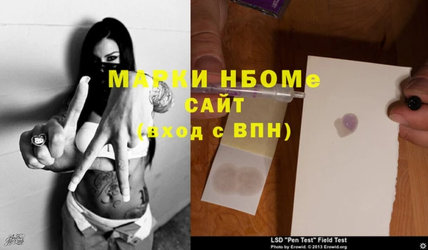 прущие грибы Белоозёрский