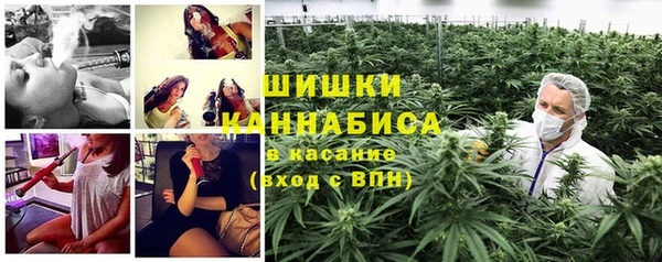 стафф Беломорск