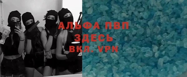 индика Белокуриха