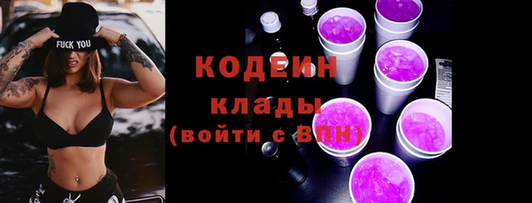 индика Белокуриха
