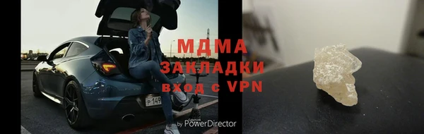 прущие грибы Белоозёрский