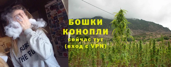 прущие грибы Белоозёрский