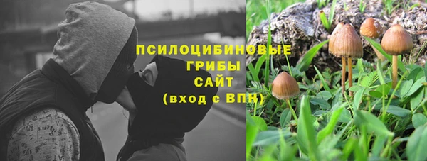 индика Белокуриха